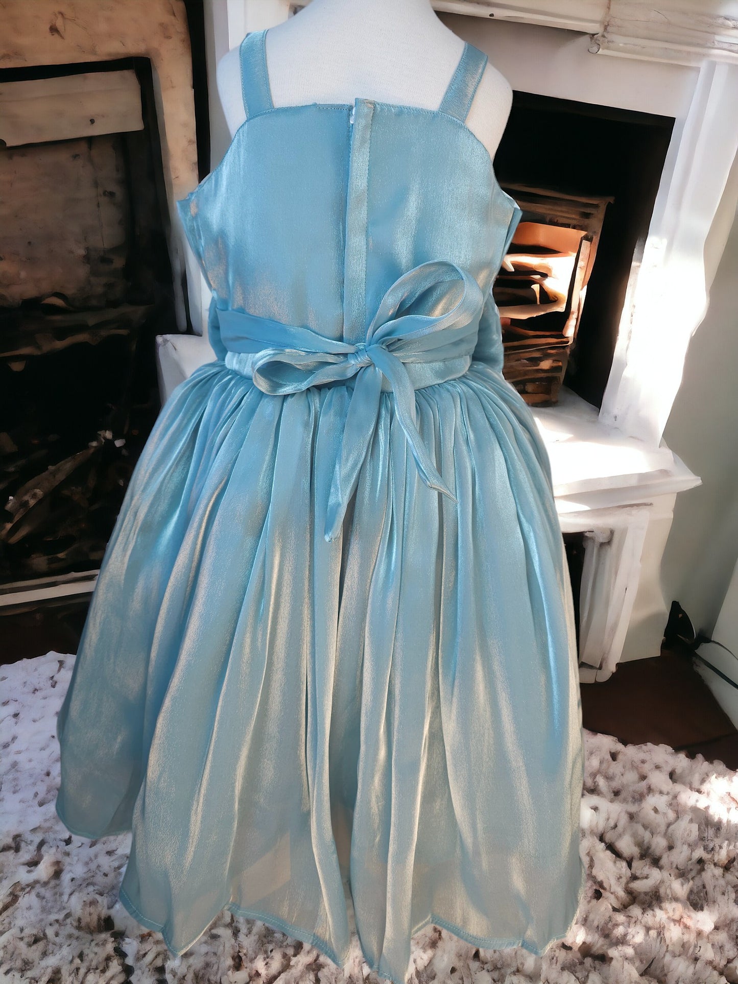 Ash Blue Organza Party Dress