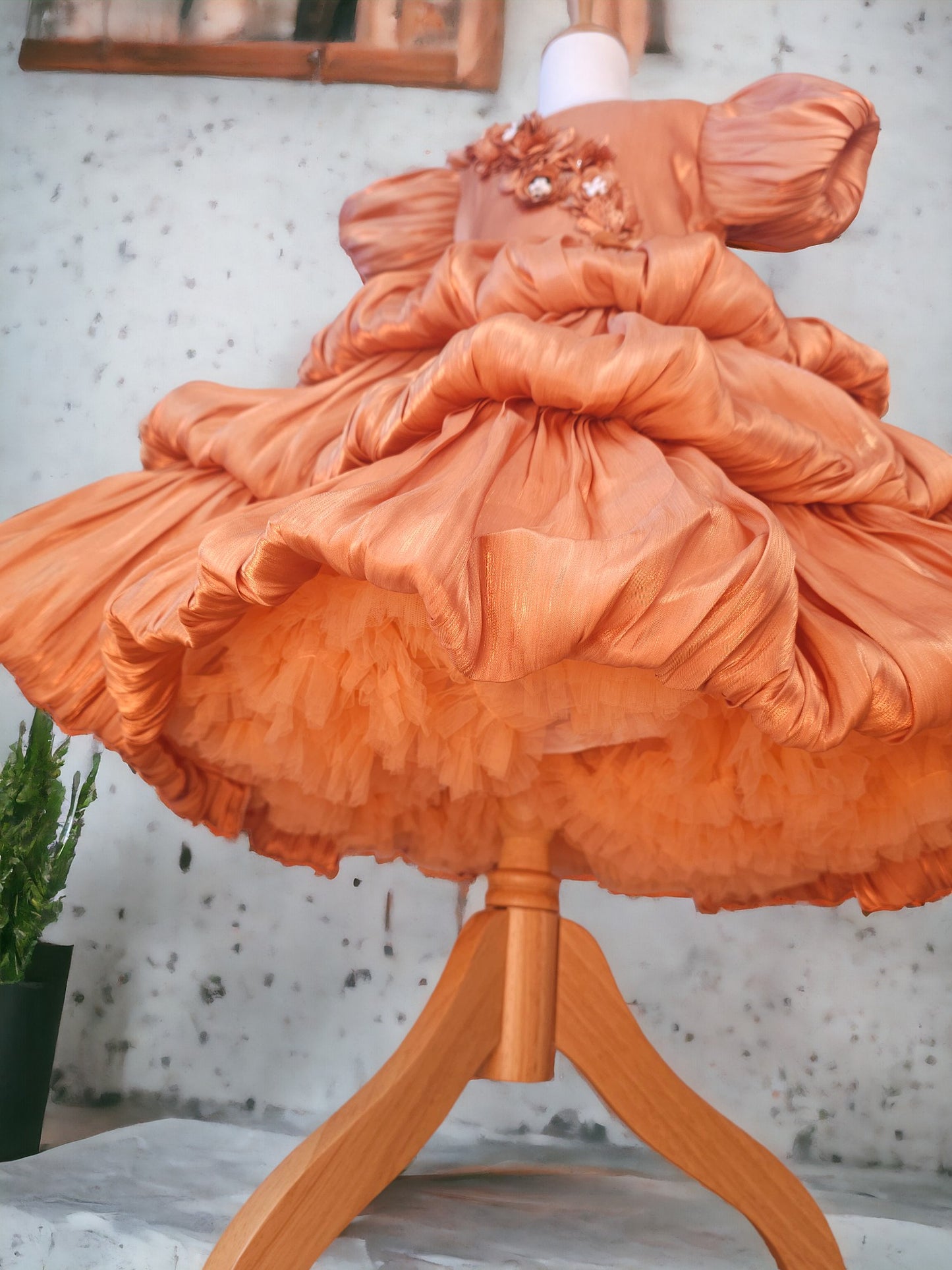 Rusty Orange Organza Dress