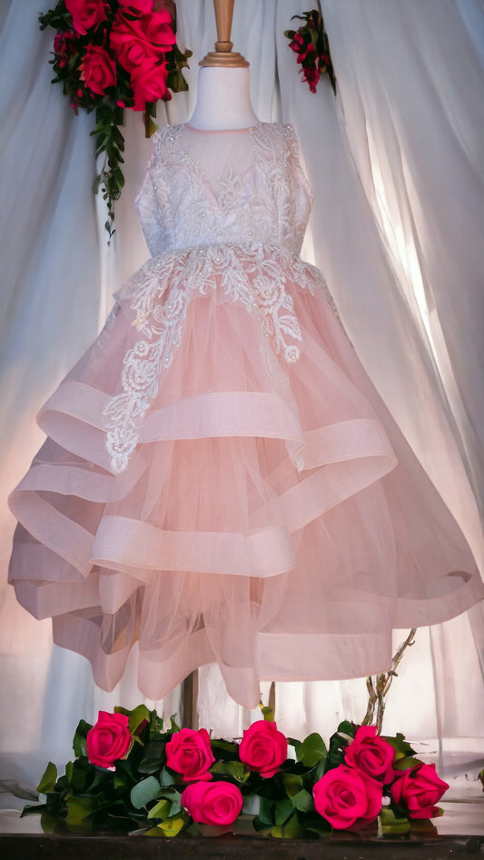 SHEER LACE TULLE DRESS
