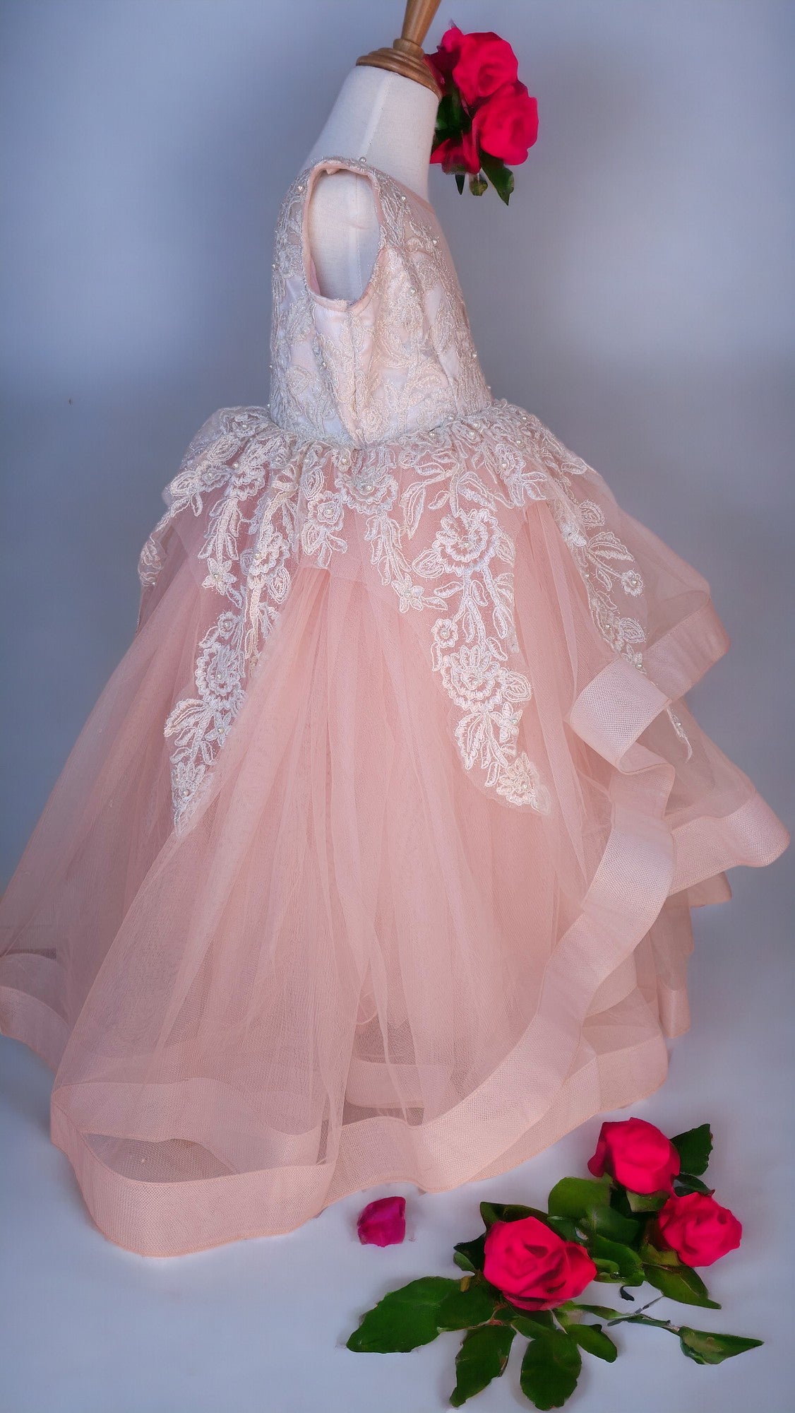 SHEER LACE TULLE DRESS