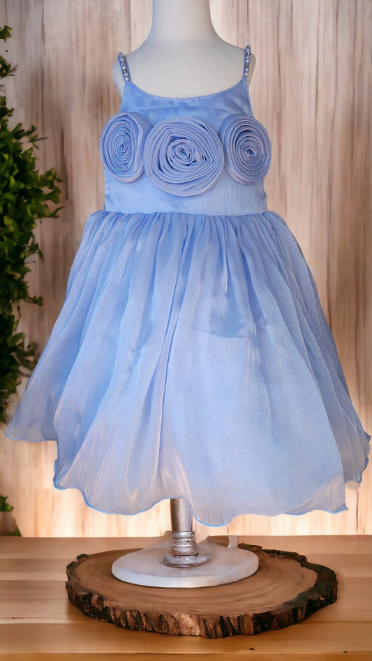 Blue Organza Party Dress