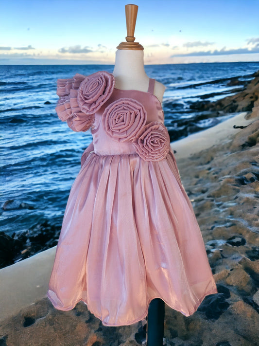 Pink Organza Ruffle Single Hand Dress