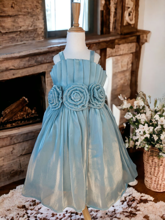 Ash Blue Organza Party Dress