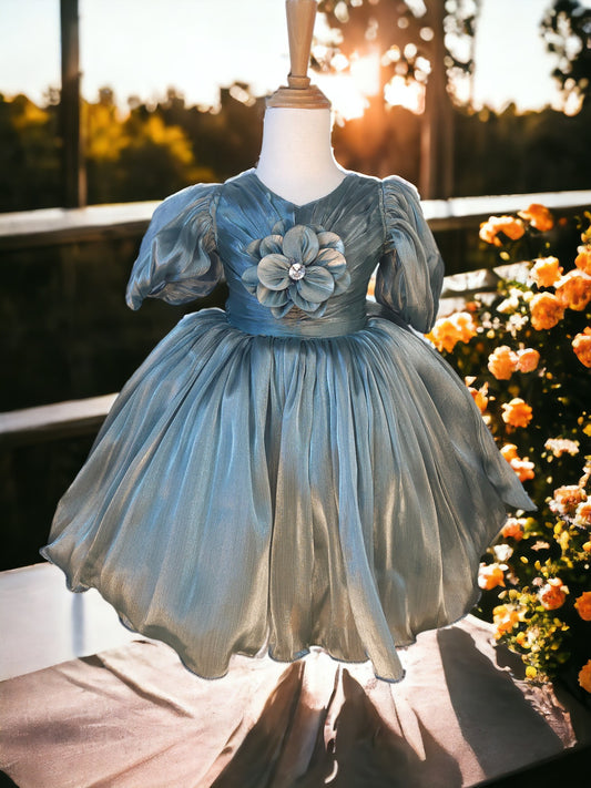 Big Flower Ash Green Organza Dress