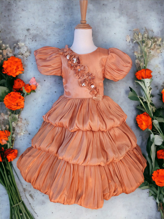 Rusty Orange Organza Dress