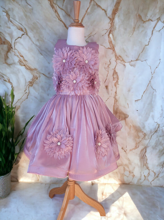 Two piece Pink Floral Dress