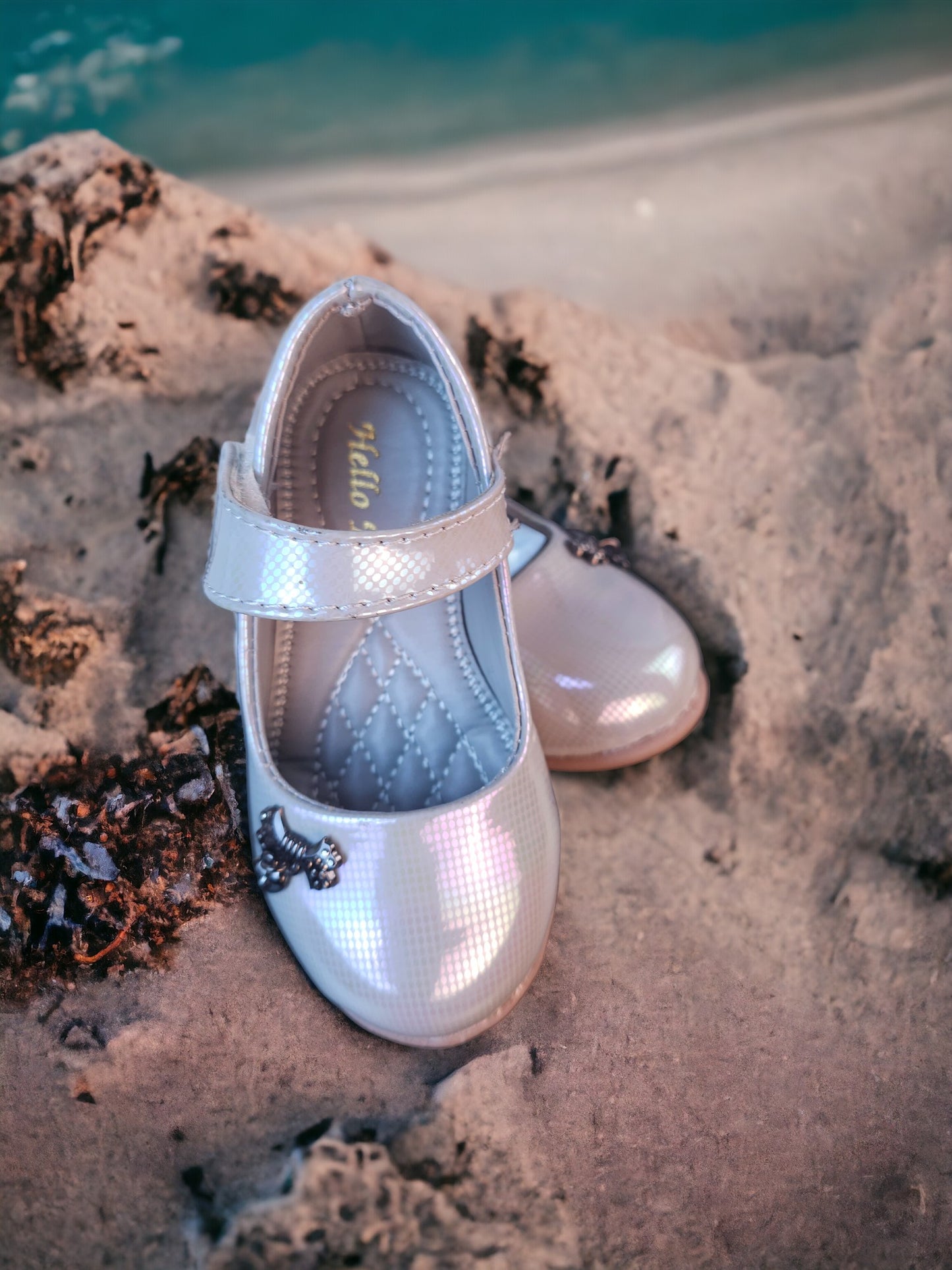 Silver Shoe